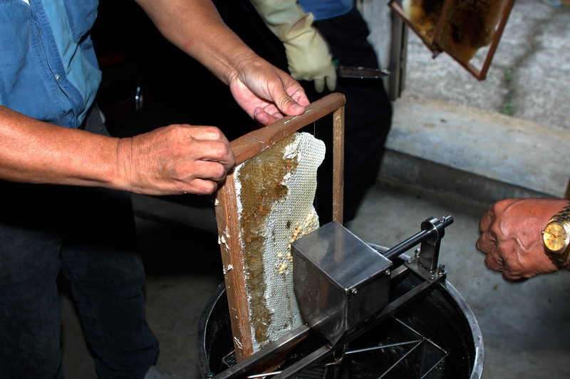 «ö¦¹¦b·sµøµ¡ÂsÄý¹Ï¤ù