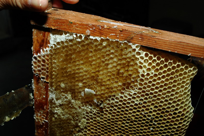 «ö¦¹¦b·sµøµ¡ÂsÄý¹Ï¤ù