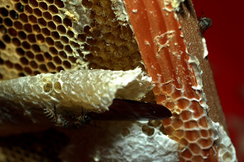 «ö¦¹¦b·sµøµ¡ÂsÄý¹Ï¤ù