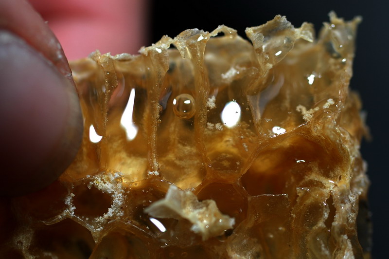 «ö¦¹¦b·sµøµ¡ÂsÄý¹Ï¤ù