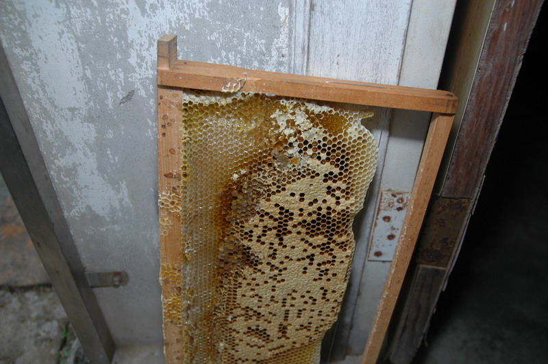 «ö¦¹¦b·sµøµ¡ÂsÄý¹Ï¤ù