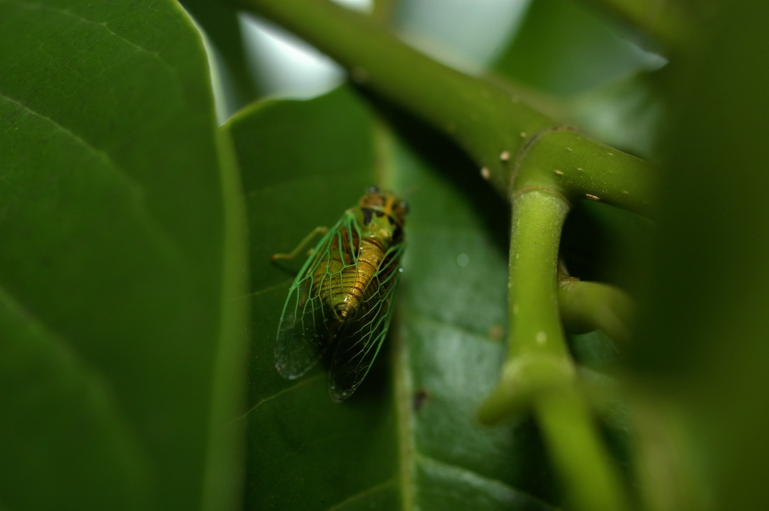 «ö¦¹¦b·sµøµ¡ÂsÄý¹Ï¤ù