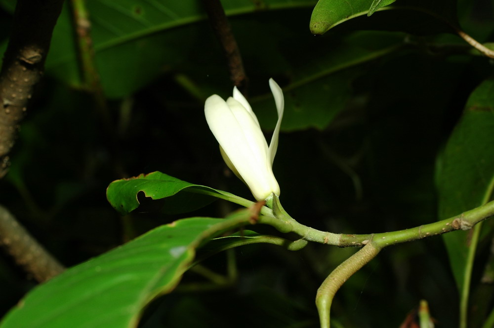 «ö¦¹¦b·sµøµ¡ÂsÄý¹Ï¤ù