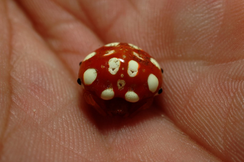 «ö¦¹¦b·sµøµ¡ÂsÄý¹Ï¤ù