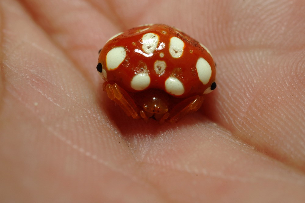 «ö¦¹¦b·sµøµ¡ÂsÄý¹Ï¤ù