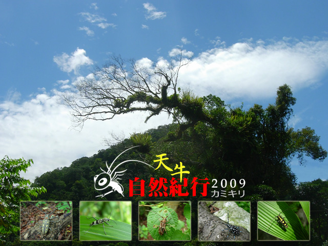 «ö¦¹¦b·sµøµ¡ÂsÄý¹Ï¤ù