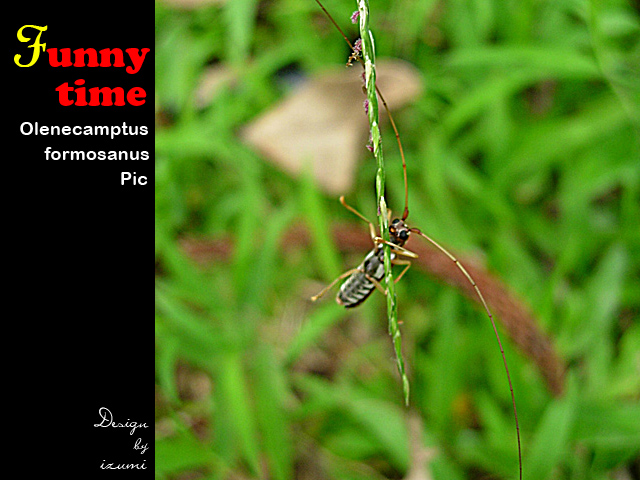 «ö¦¹¦b·sµøµ¡ÂsÄý¹Ï¤ù