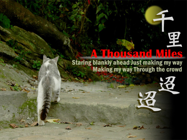 «ö¦¹¦b·sµøµ¡ÂsÄý¹Ï¤ù