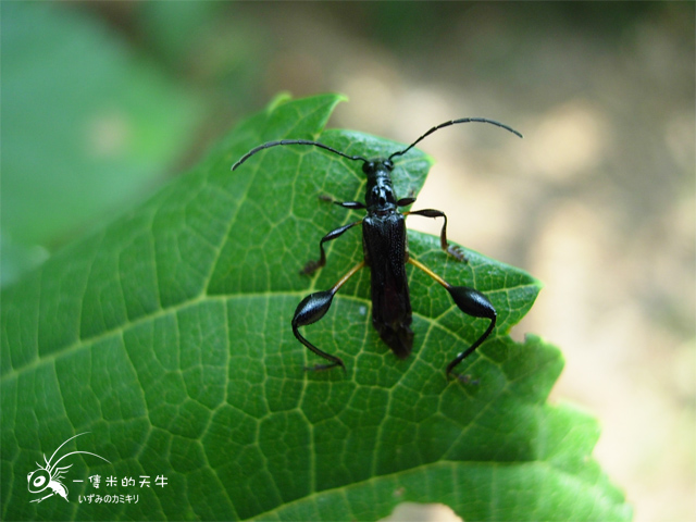 «ö¦¹¦b·sµøµ¡ÂsÄý¹Ï¤ù