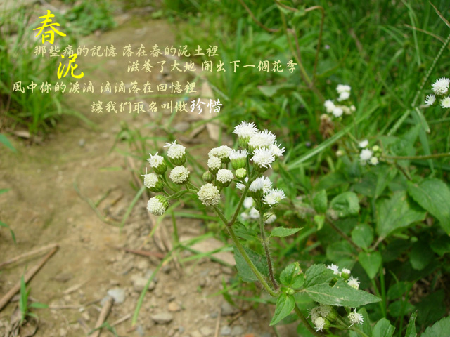 «ö¦¹¦b·sµøµ¡ÂsÄý¹Ï¤ù