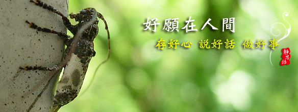 «ö¦¹¦b·sµøµ¡ÂsÄý¹Ï¤ù