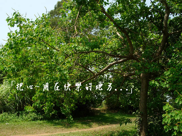 «ö¦¹¦b·sµøµ¡ÂsÄý¹Ï¤ù