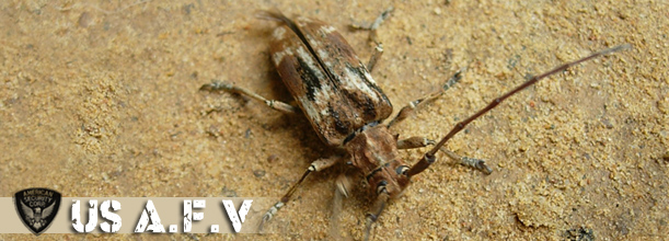 «ö¦¹¦b·sµøµ¡ÂsÄý¹Ï¤ù