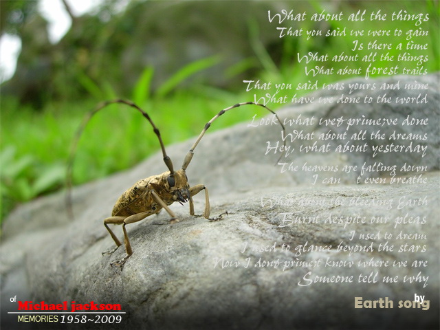 «ö¦¹¦b·sµøµ¡ÂsÄý¹Ï¤ù