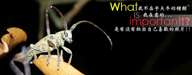 «ö¦¹¦b·sµøµ¡ÂsÄý¹Ï¤ù