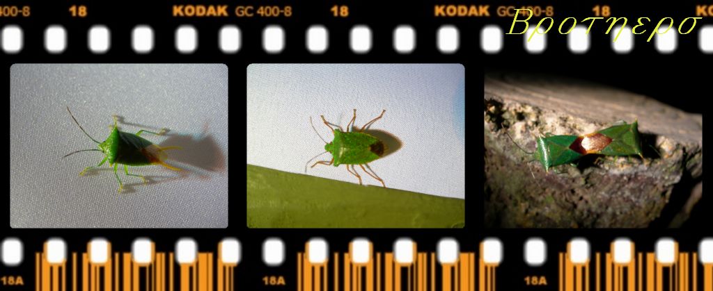 «ö¦¹¦b·sµøµ¡ÂsÄý¹Ï¤ù