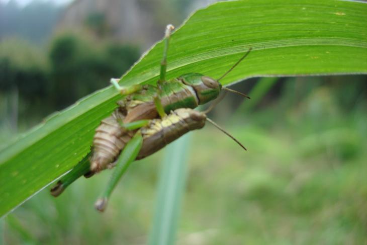 «ö¦¹¦b·sµøµ¡ÂsÄý¹Ï¤ù