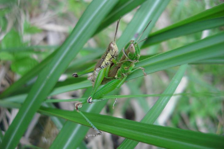 «ö¦¹¦b·sµøµ¡ÂsÄý¹Ï¤ù