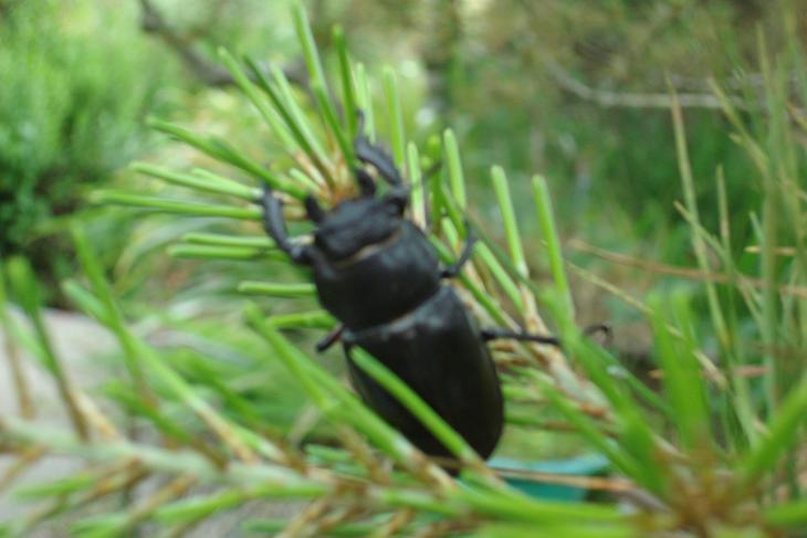 «ö¦¹¦b·sµøµ¡ÂsÄý¹Ï¤ù