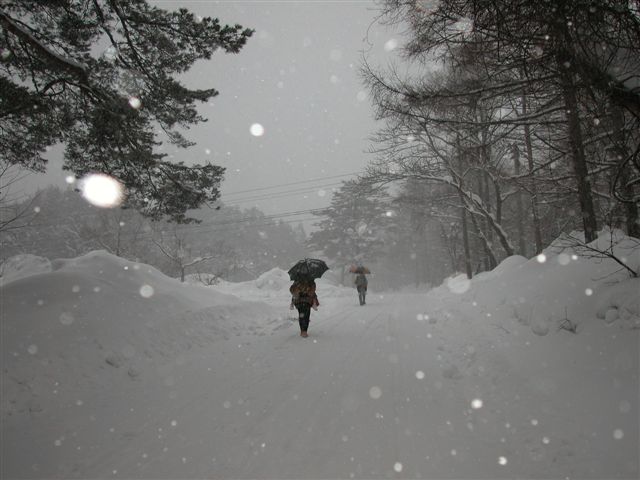 «ö¦¹¦b·sµøµ¡ÂsÄý¹Ï¤ù