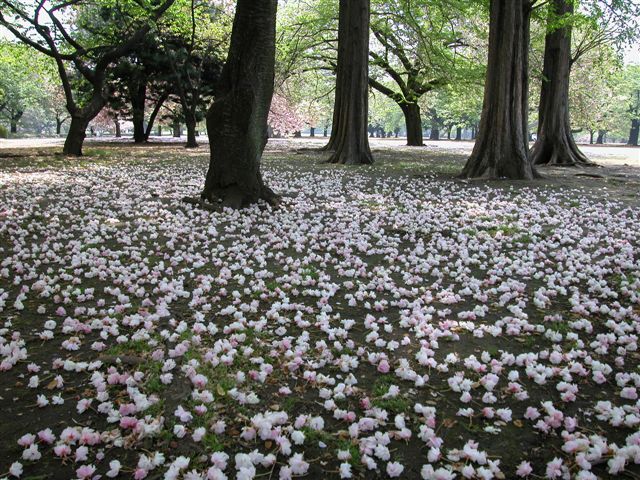 «ö¦¹¦b·sµøµ¡ÂsÄý¹Ï¤ù