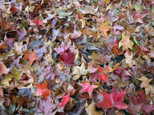 «ö¦¹¦b·sµøµ¡ÂsÄý¹Ï¤ù