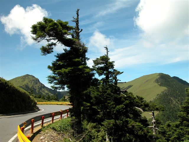 «ö¦¹¦b·sµøµ¡ÂsÄý¹Ï¤ù