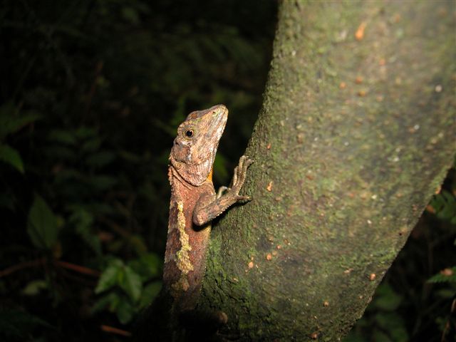 «ö¦¹¦b·sµøµ¡ÂsÄý¹Ï¤ù