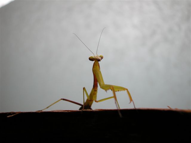 «ö¦¹¦b·sµøµ¡ÂsÄý¹Ï¤ù