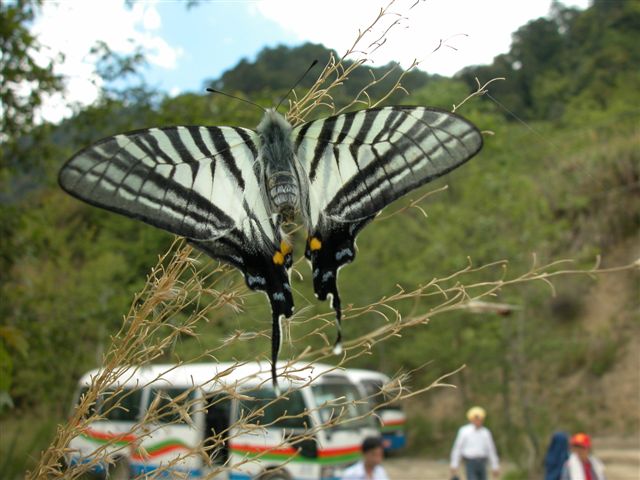 «ö¦¹¦b·sµøµ¡ÂsÄý¹Ï¤ù