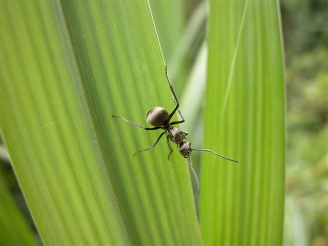 «ö¦¹¦b·sµøµ¡ÂsÄý¹Ï¤ù