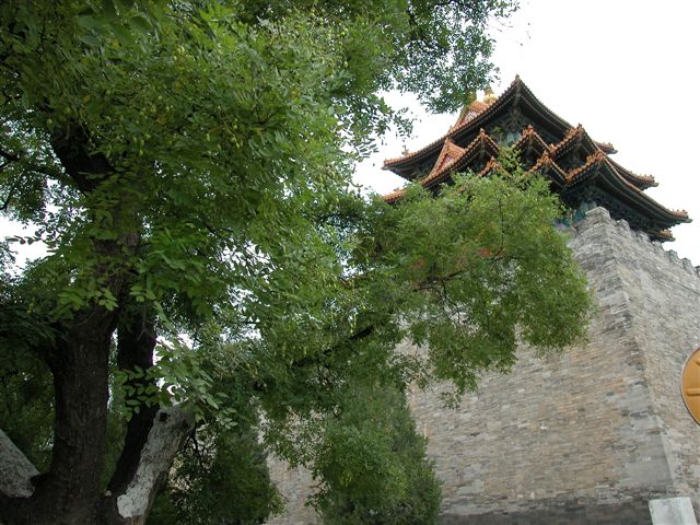 «ö¦¹¦b·sµøµ¡ÂsÄý¹Ï¤ù