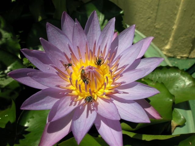 «ö¦¹¦b·sµøµ¡ÂsÄý¹Ï¤ù