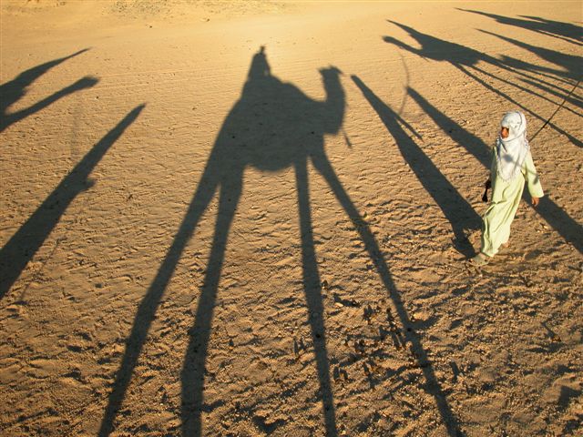 «ö¦¹¦b·sµøµ¡ÂsÄý¹Ï¤ù