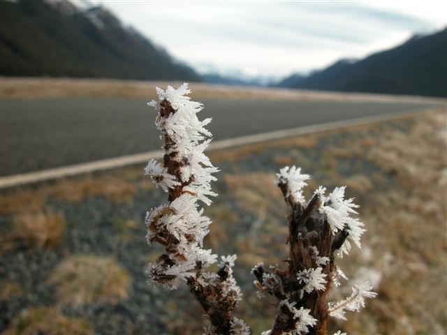 «ö¦¹¦b·sµøµ¡ÂsÄý¹Ï¤ù