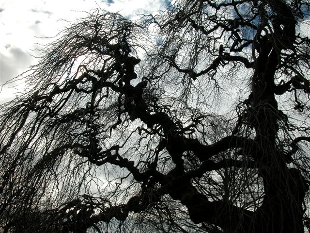 «ö¦¹¦b·sµøµ¡ÂsÄý¹Ï¤ù