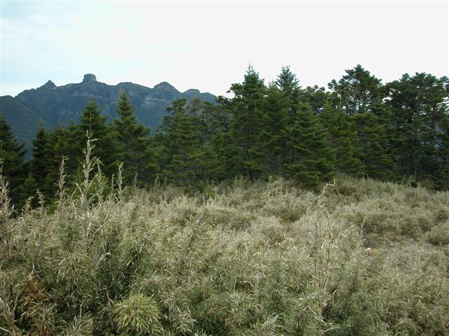 «ö¦¹¦b·sµøµ¡ÂsÄý¹Ï¤ù