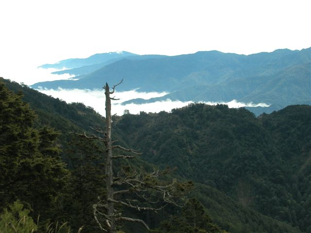 «ö¦¹¦b·sµøµ¡ÂsÄý¹Ï¤ù