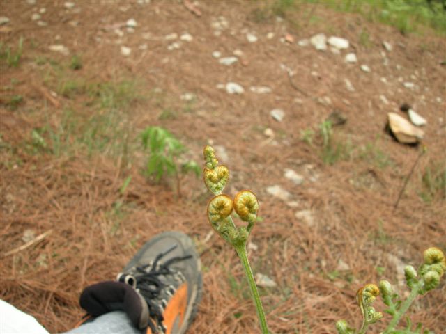 «ö¦¹¦b·sµøµ¡ÂsÄý¹Ï¤ù