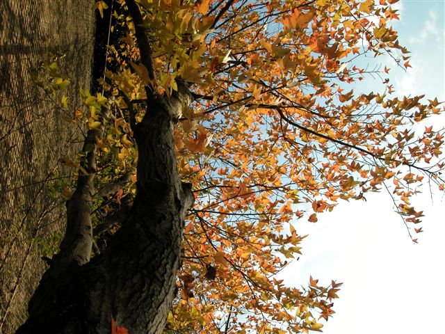 «ö¦¹¦b·sµøµ¡ÂsÄý¹Ï¤ù