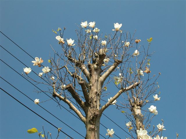 «ö¦¹¦b·sµøµ¡ÂsÄý¹Ï¤ù