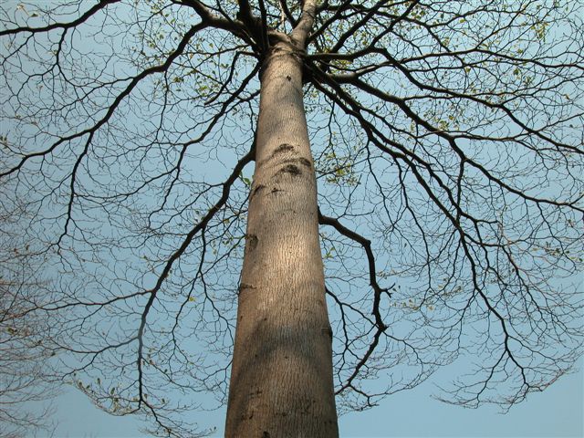 «ö¦¹¦b·sµøµ¡ÂsÄý¹Ï¤ù