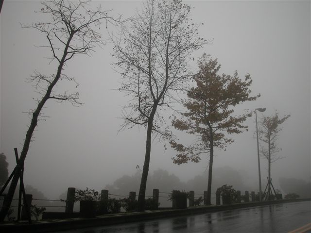 «ö¦¹¦b·sµøµ¡ÂsÄý¹Ï¤ù