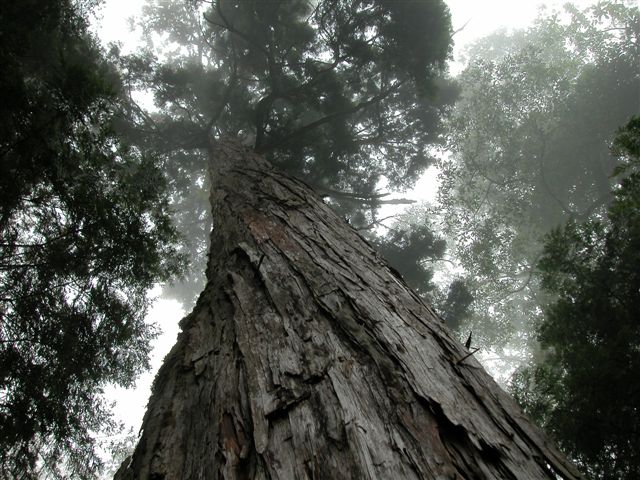 «ö¦¹¦b·sµøµ¡ÂsÄý¹Ï¤ù