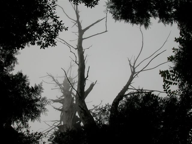 «ö¦¹¦b·sµøµ¡ÂsÄý¹Ï¤ù