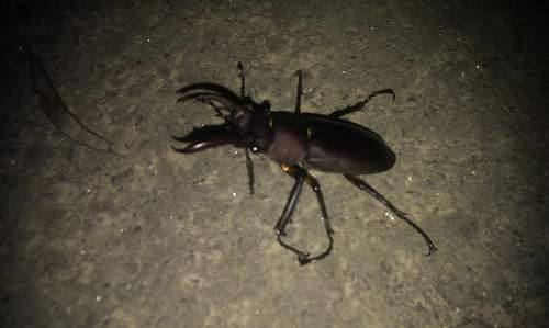 按此在新視窗瀏覽圖片