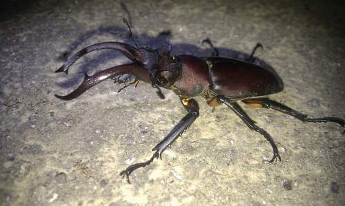 按此在新視窗瀏覽圖片