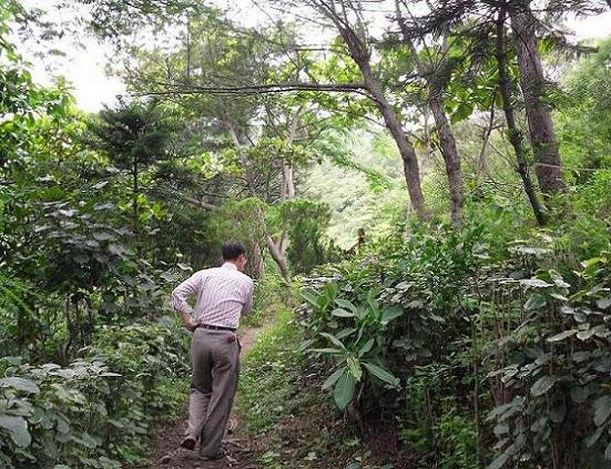 按此在新視窗瀏覽圖片