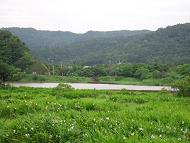 按此在新視窗瀏覽圖片