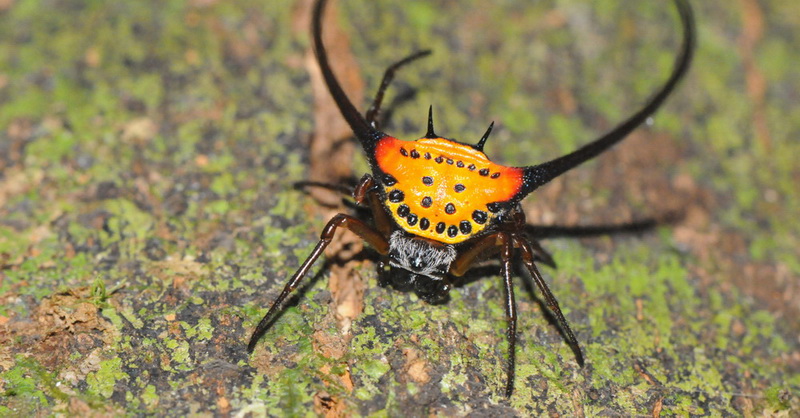 按此在新視窗瀏覽圖片